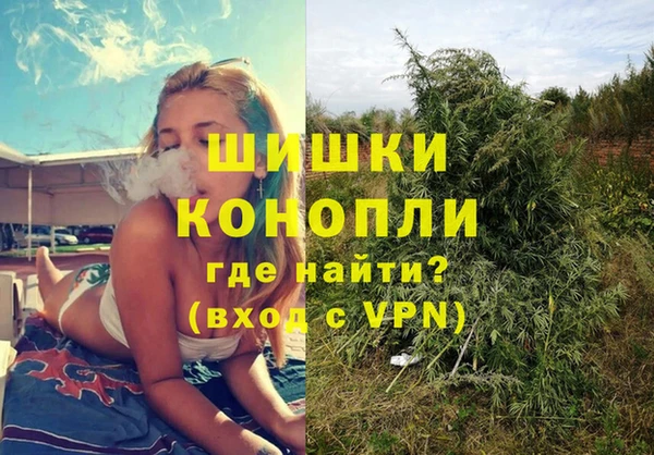 спайс Пересвет